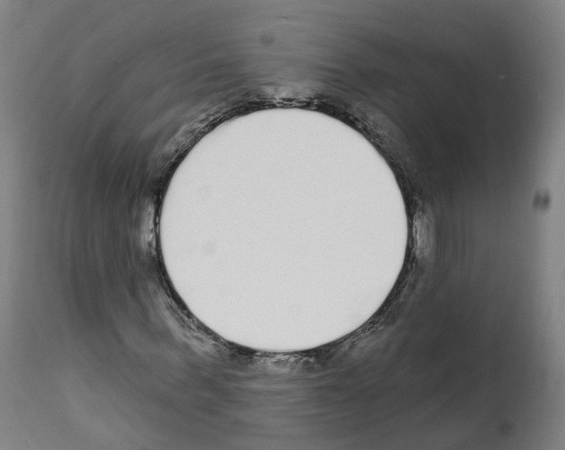 X0000112360963200909241122