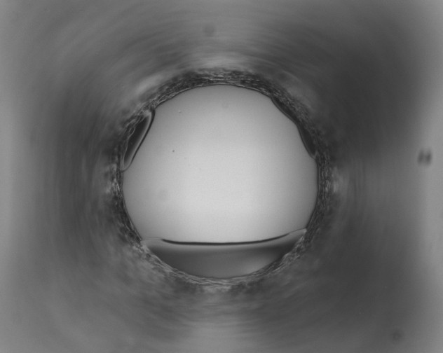 X0000112360965200909241122