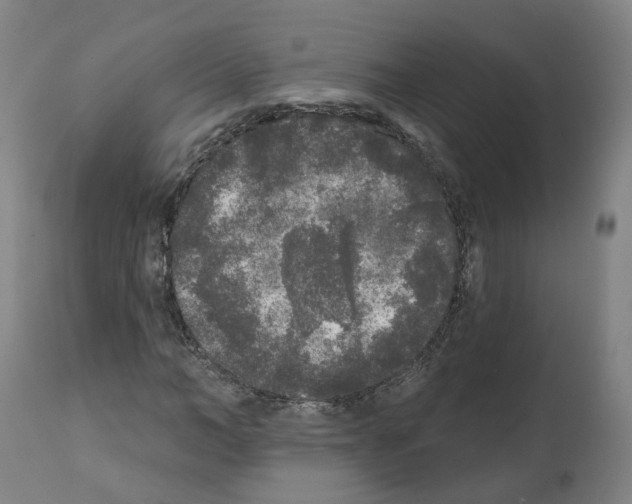 X0000112360966200909241122