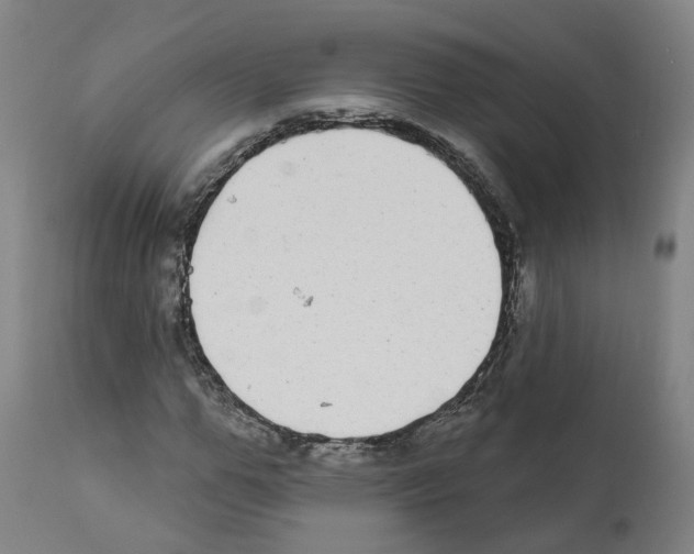 X0000112360967200909241122