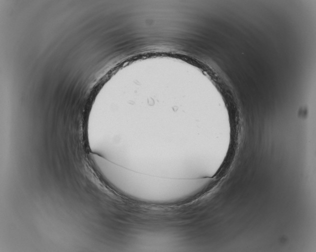 X0000112360969200909241122