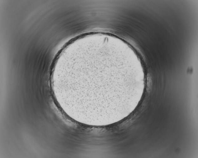 X0000112360972200909241122