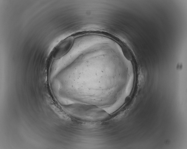 X0000112360973200909241122