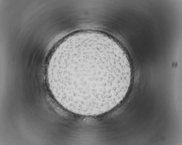 X0000112360974200909241122