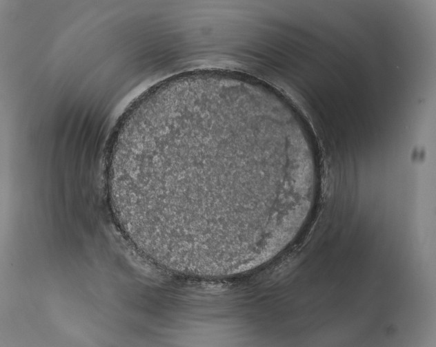 X0000112360975200909241122