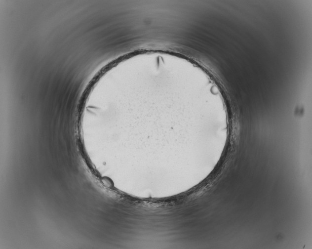 X0000112360976200909241122