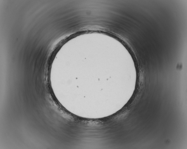 X0000112360979200909241122