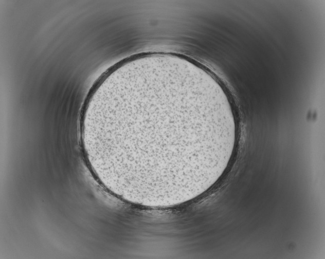 X0000112360980200909241122