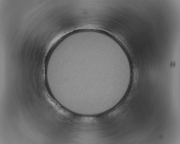 X0000112360982200909241122