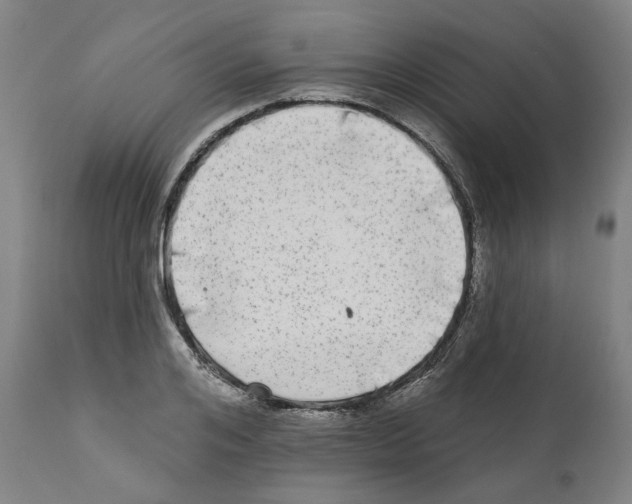 X0000112360984200909241122