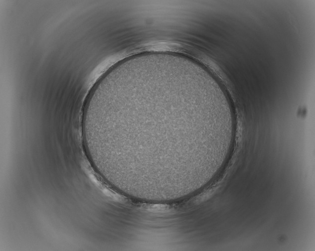 X0000112360986200909241122