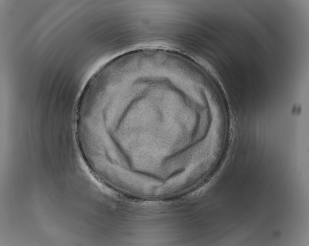 X0000112360989200909241122