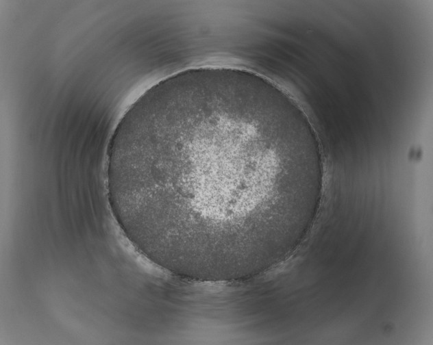 X0000112360990200909241122