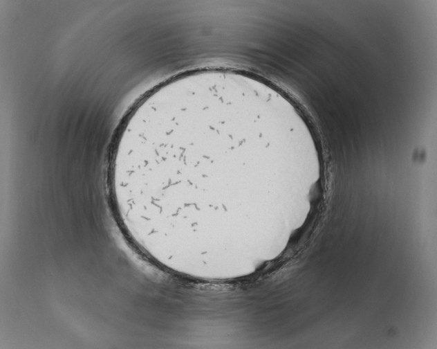 X0000112360991200909241122