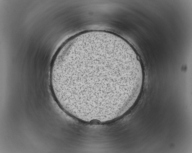 X0000112360992200909241122