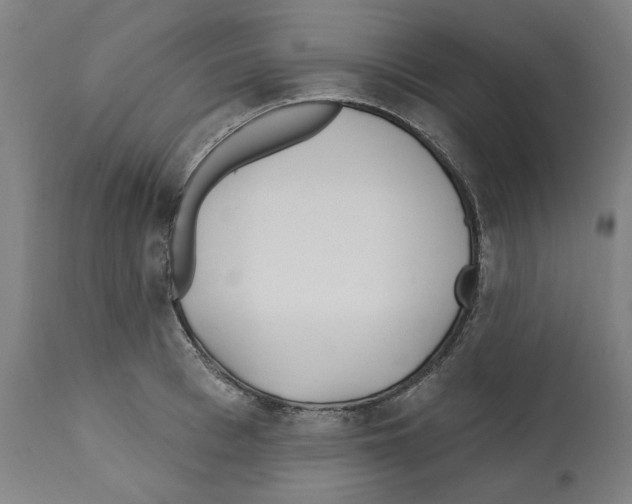 X0000112360993200909241122