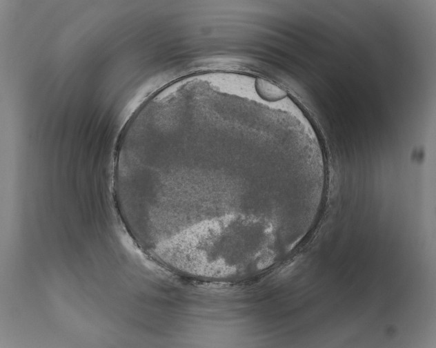X0000112360994200909241122