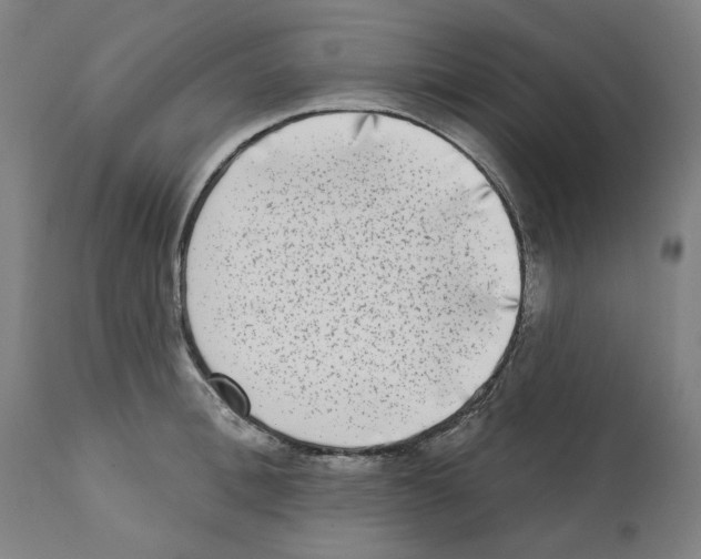 X0000112360996200909241122