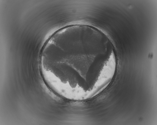 X0000112360998200909241121