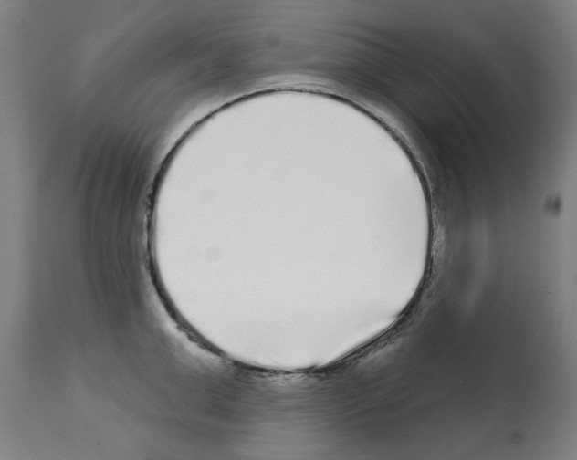 X0000112360999200909241121