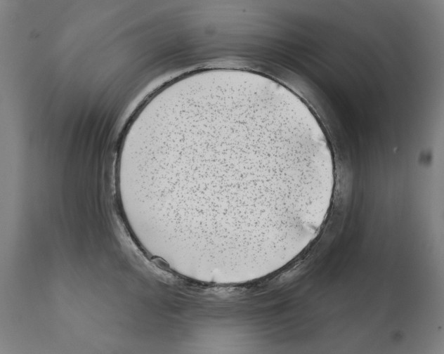 X0000112361000200909241121