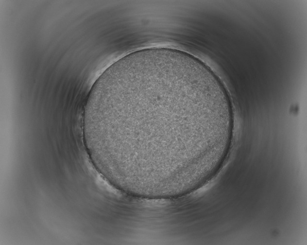 X0000112361001200909241121