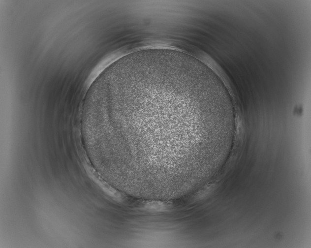 X0000112361002200909241121