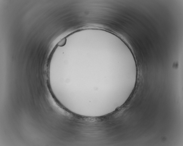 X0000112361003200909241121