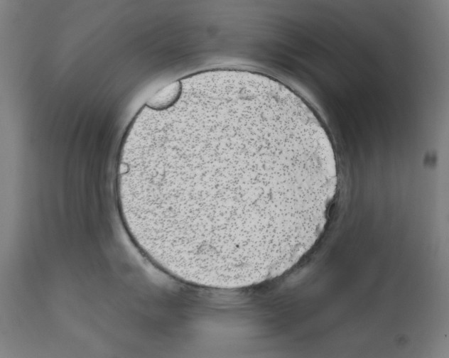 X0000112361007200909241121