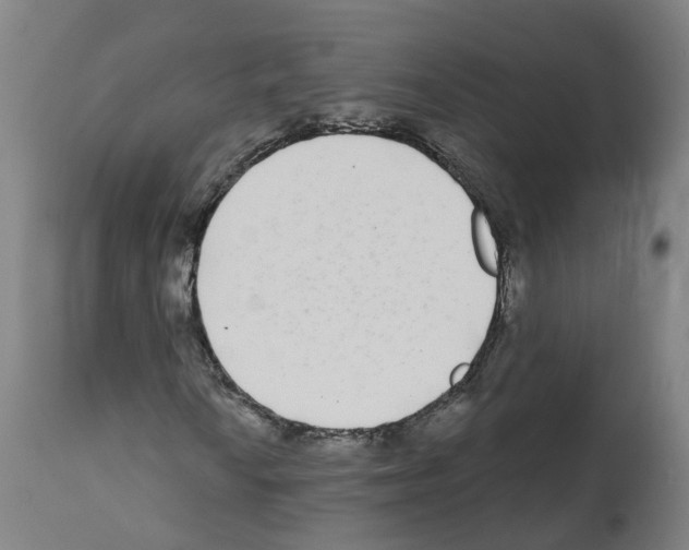 X0000112361010200909241121