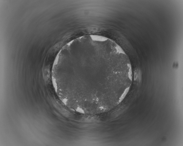 X0000112361011200909241121