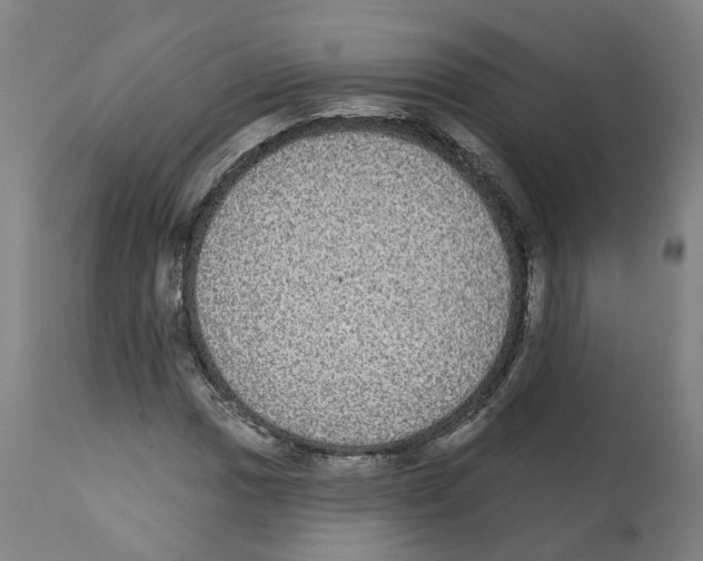 X0000112361017200909241121