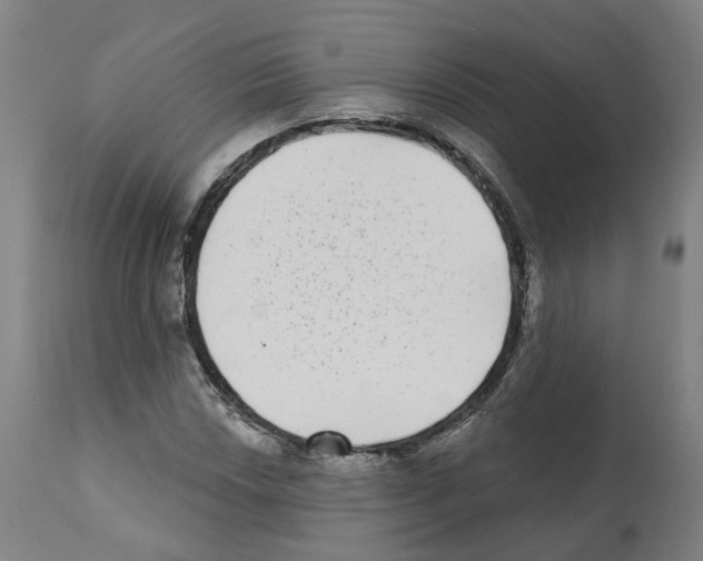 X0000112361018200909241121