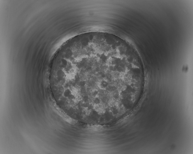 X0000112361019200909241121