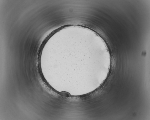 X0000112361020200909241121