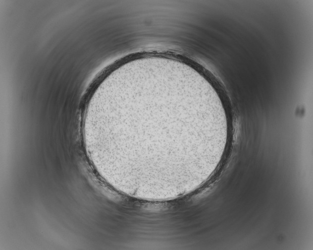 X0000112361021200909241121