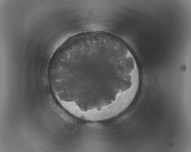 X0000112361023200909241121
