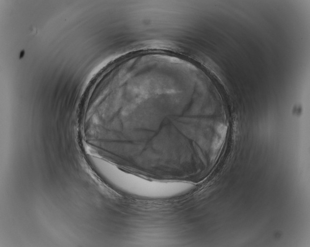 X0000112361024200909241121