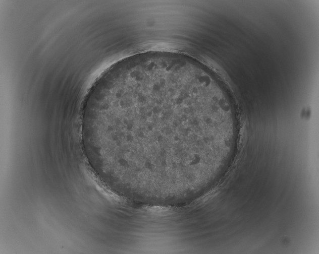 X0000112361027200909241121