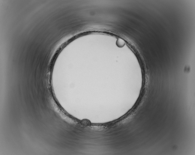X0000112361029200909241121