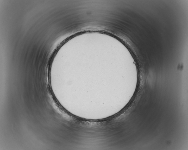 X0000112361030200909241121
