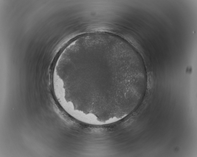 X0000112361031200909241121