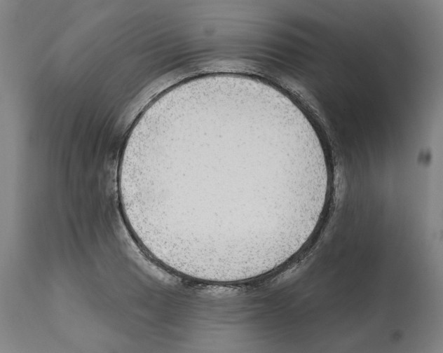 X0000112361033200909241121
