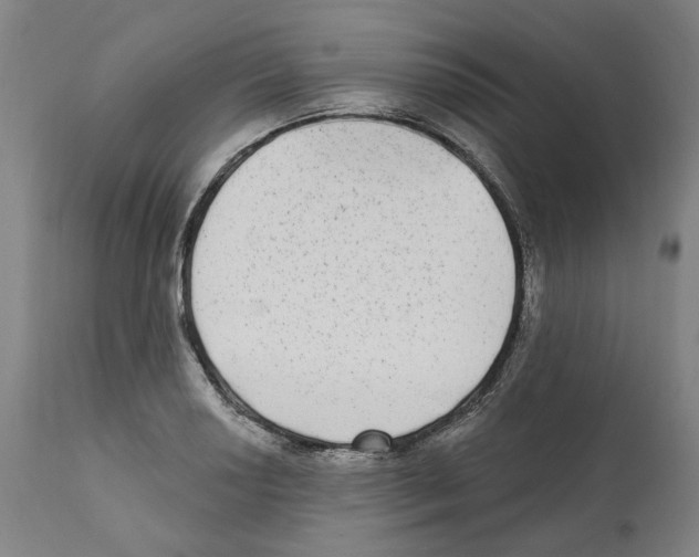 X0000112361034200909241121