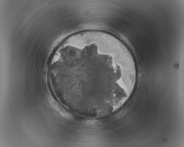 X0000112361035200909241121