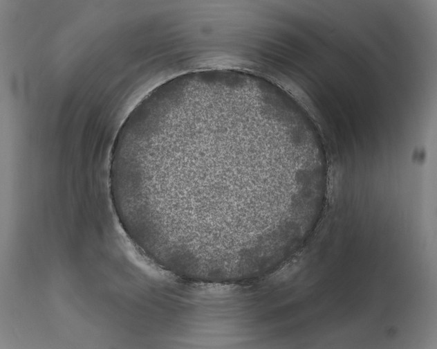 X0000112361039200909241121