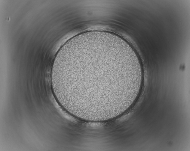 X0000112361041200909241121