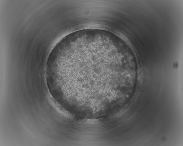 X0000112361043200909241121