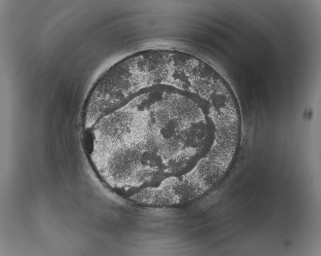 X0000112361045200909241121