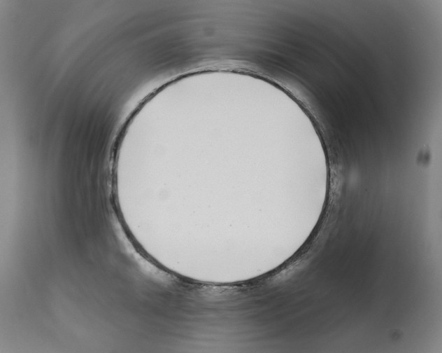 X0000112361046200909241121